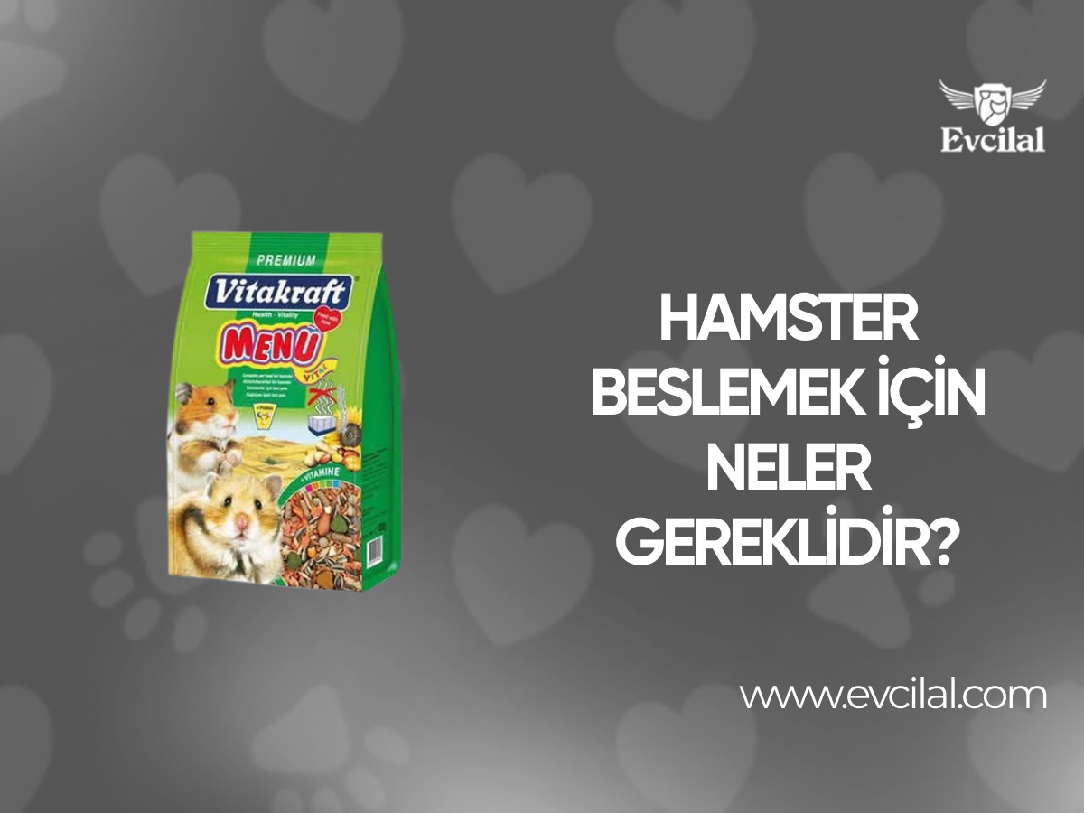 Hamster Beslemek İçin Neler Gereklidir?