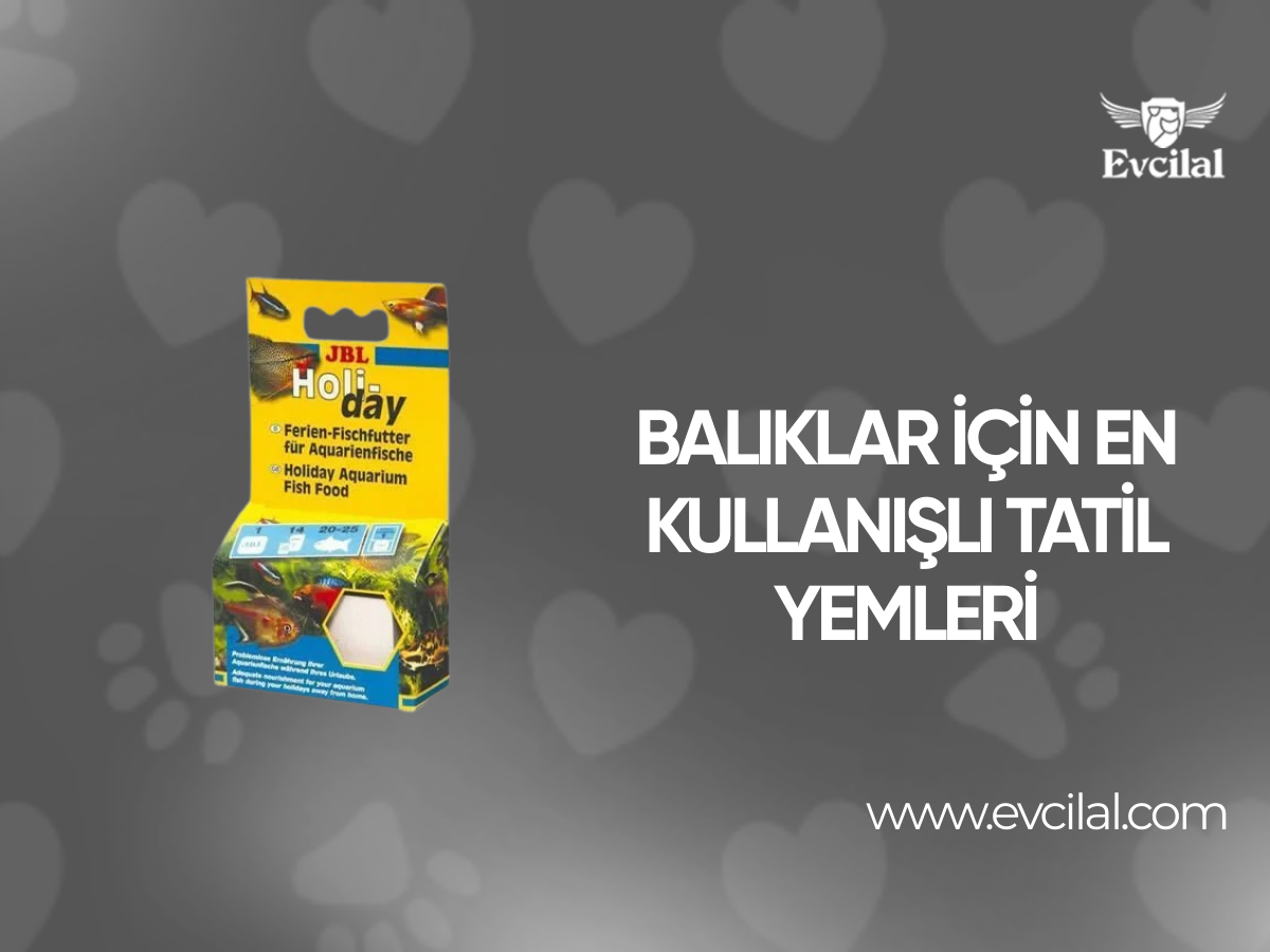 Tatile Gidenlerin Balıkları İçin En Kullanışlı Tatil Yemleri