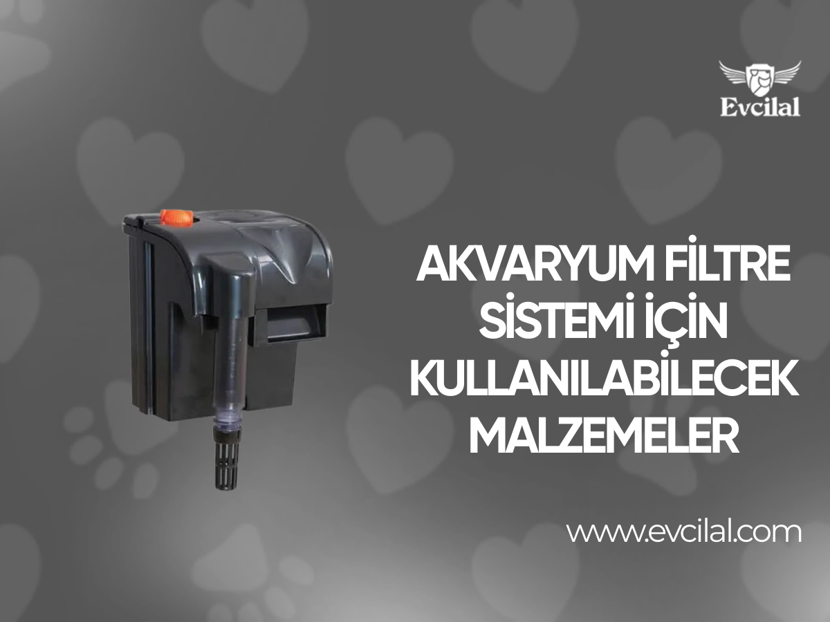 Akvaryum Filtre Sistemi İçin Kullanılabilecek Malzemeler