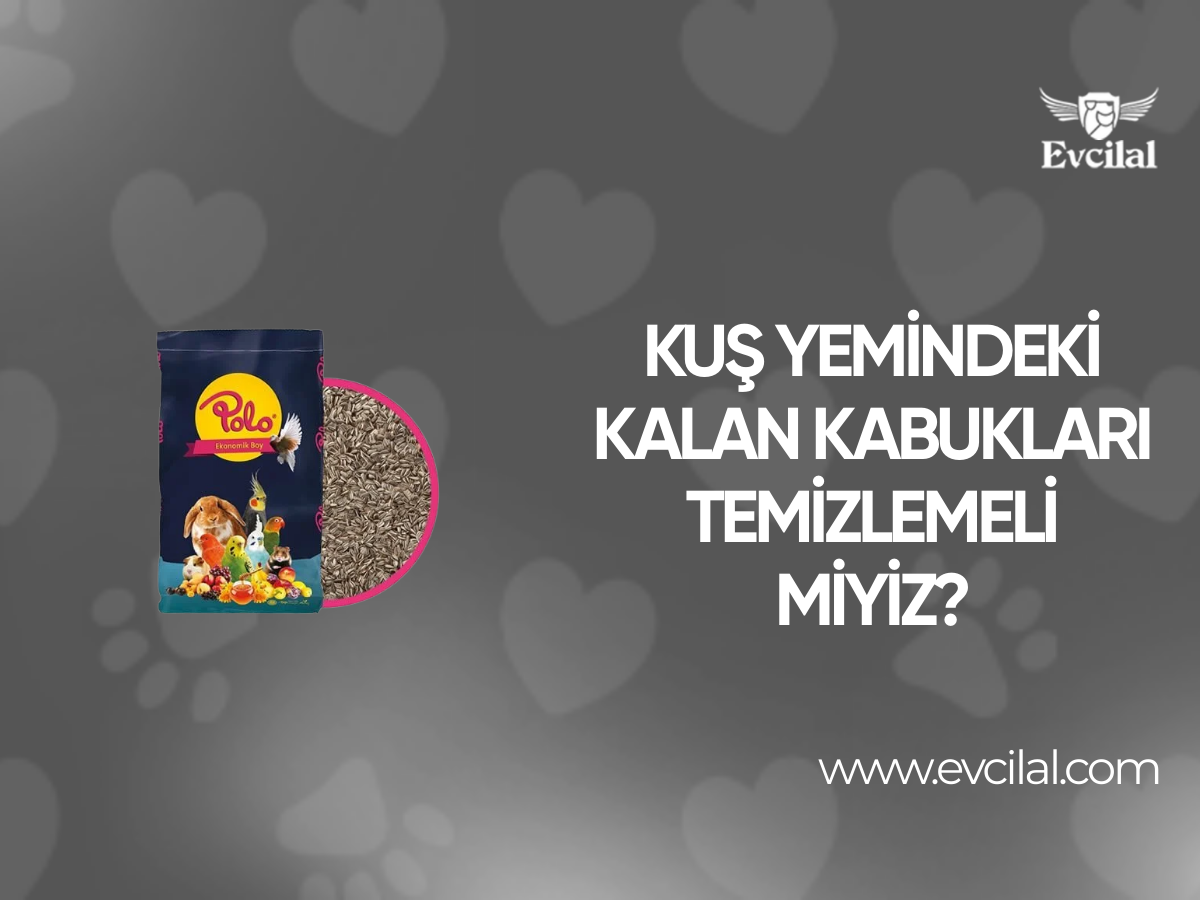 Kuş Yemindeki Kalan Kabukları Temizlemeli Miyiz?