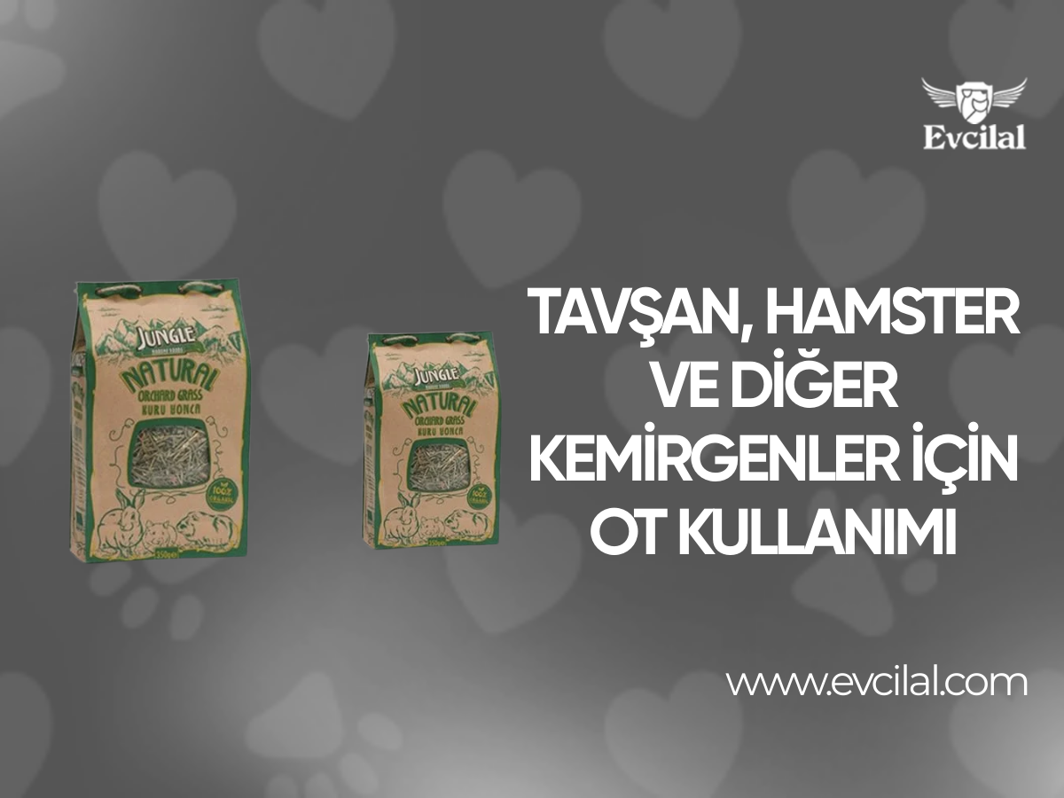 Tavşan, Hamster Ve Diğer Kemirgenler İçin Ot Kullanımı
