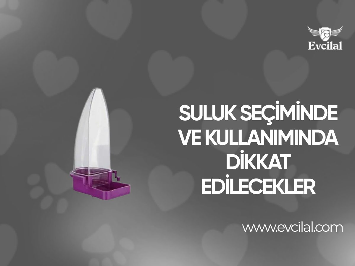 Suluk Seçiminde Ve Kullanımında Dikkat Edilecekler