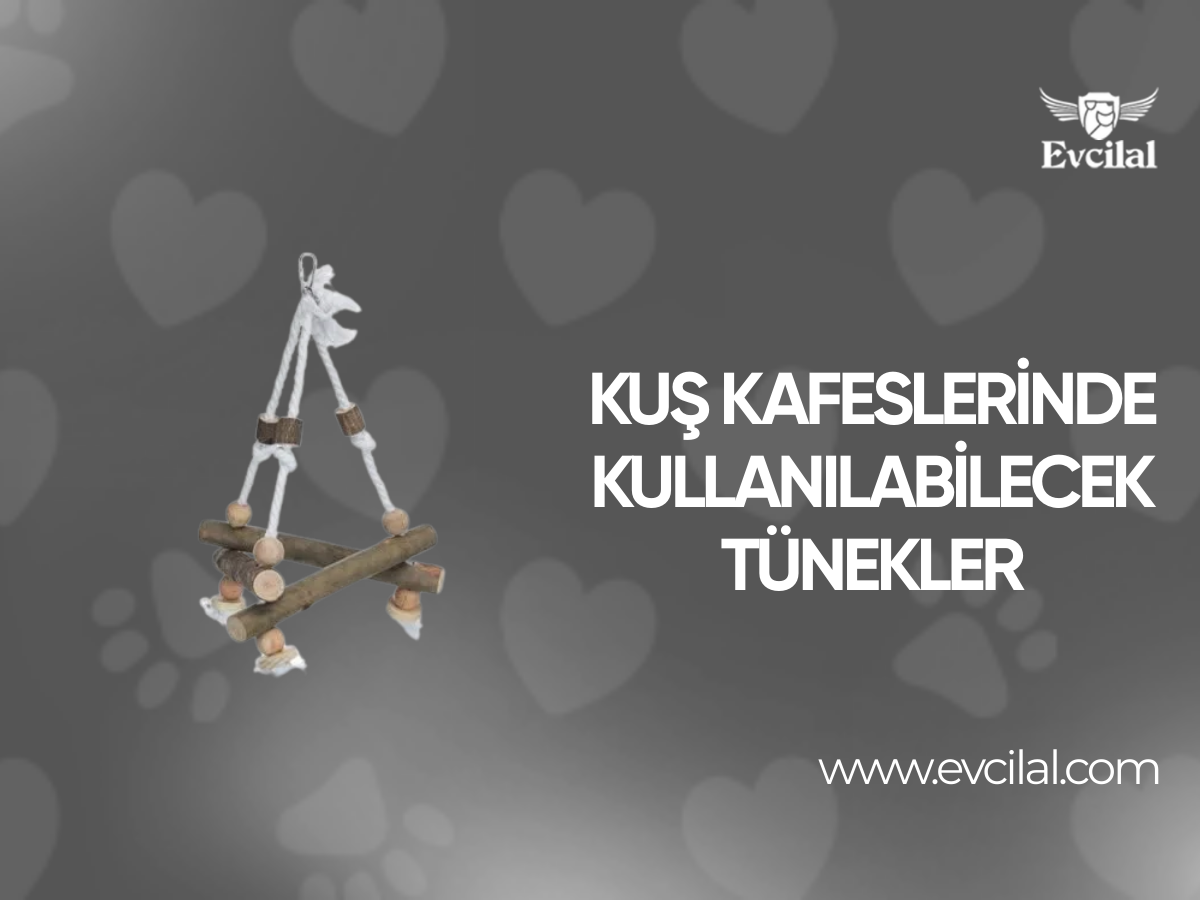 Kuş Kafeslerinde Kullanılabilecek Tünekler