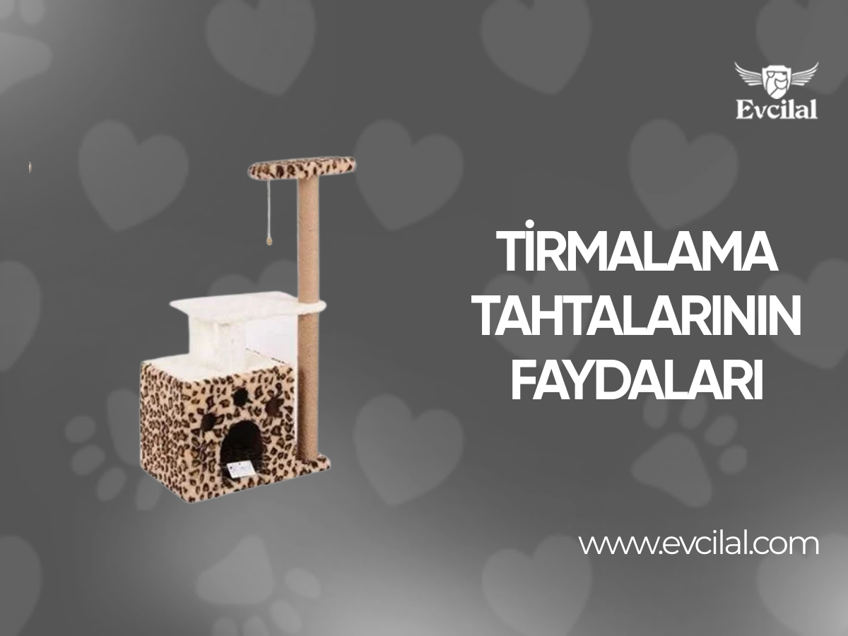Tırmalama Tahtalarının Faydaları