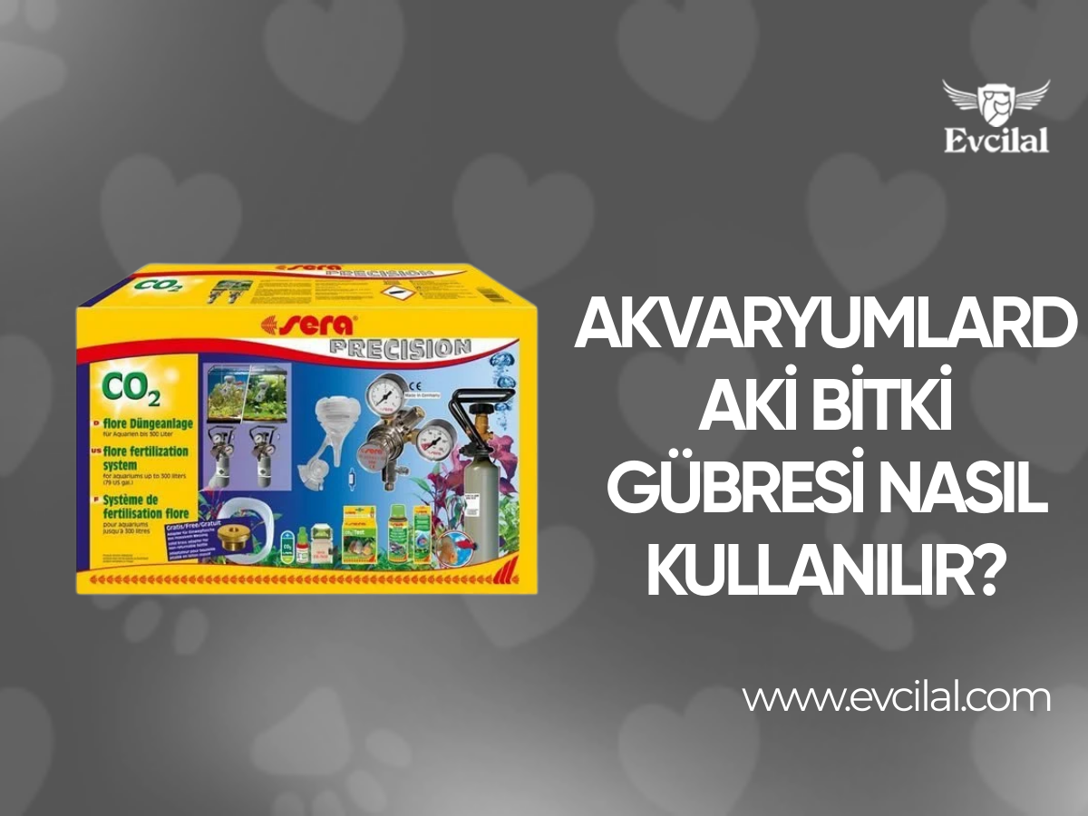 Akvaryumlardaki Bitki Gübresi Nasıl Kullanılır?