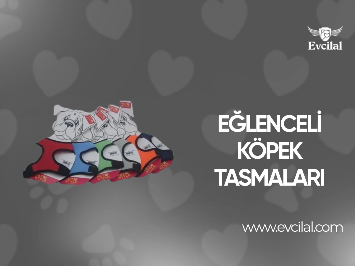 Eğlenceli Köpek Tasmaları