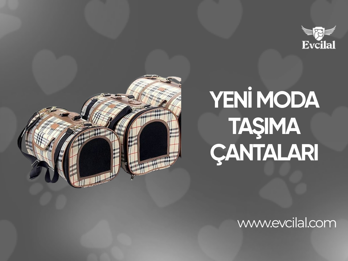 Yeni moda taşıma çantaları