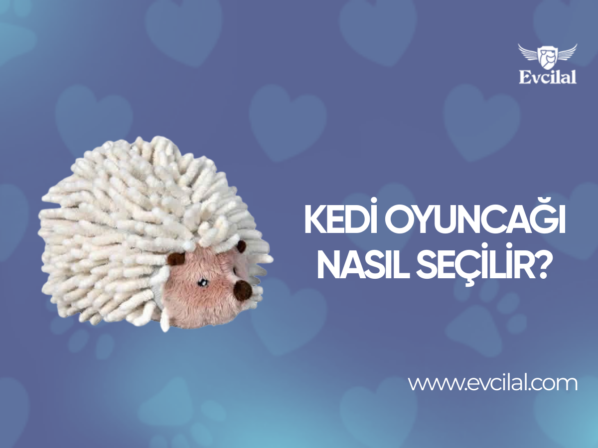 Kedi Oyuncağı Nasıl Seçilir?