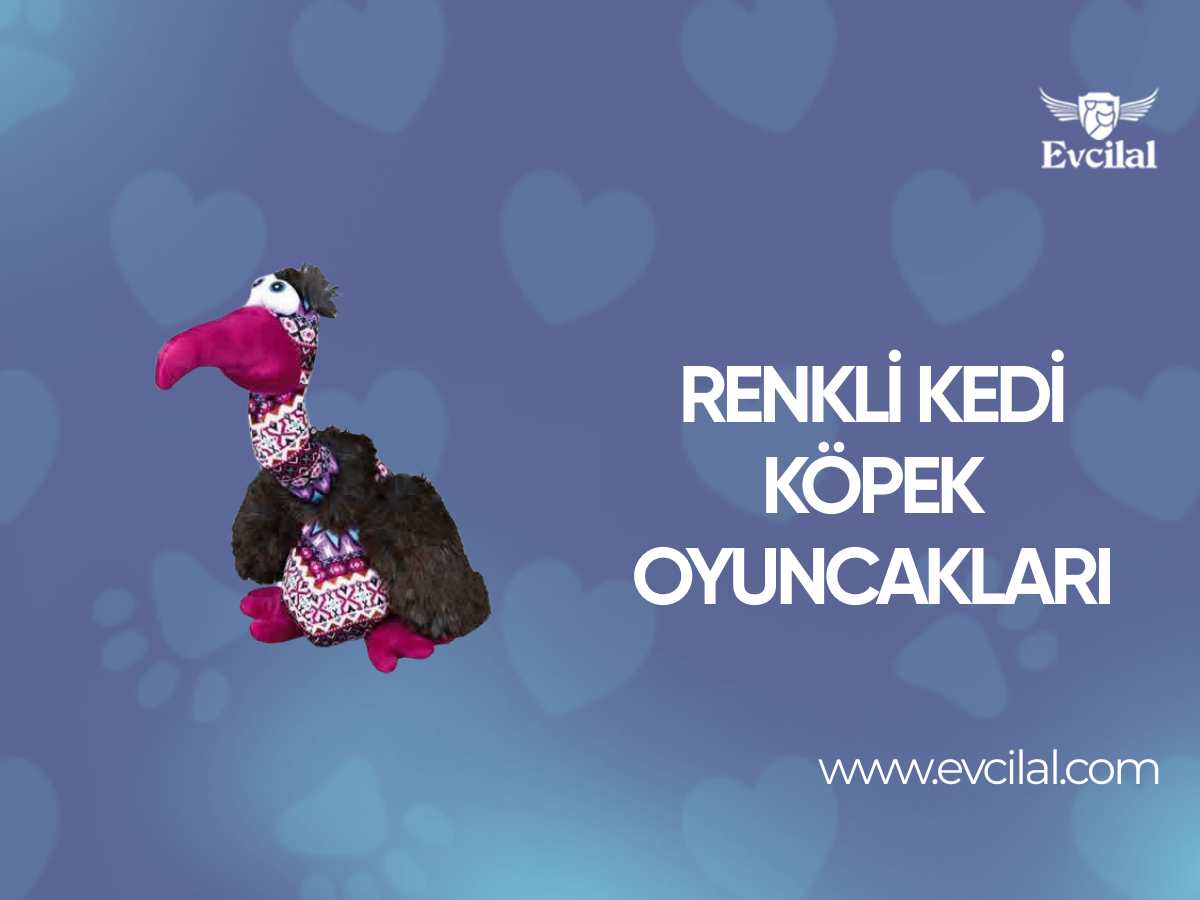 Renkli Kedi Köpek Oyuncakları