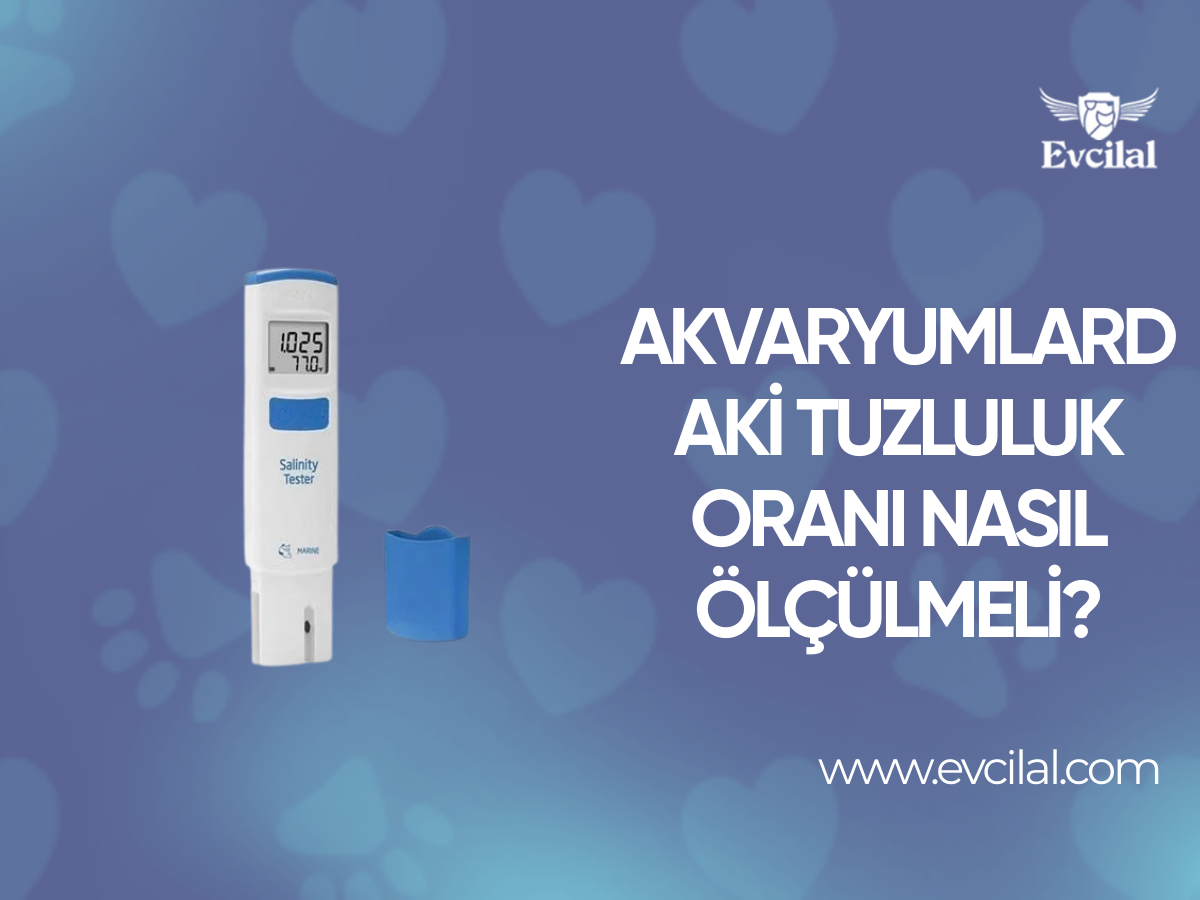 Akvaryumlardaki Tuzluluk Oranı Nasıl Ölçülmeli?