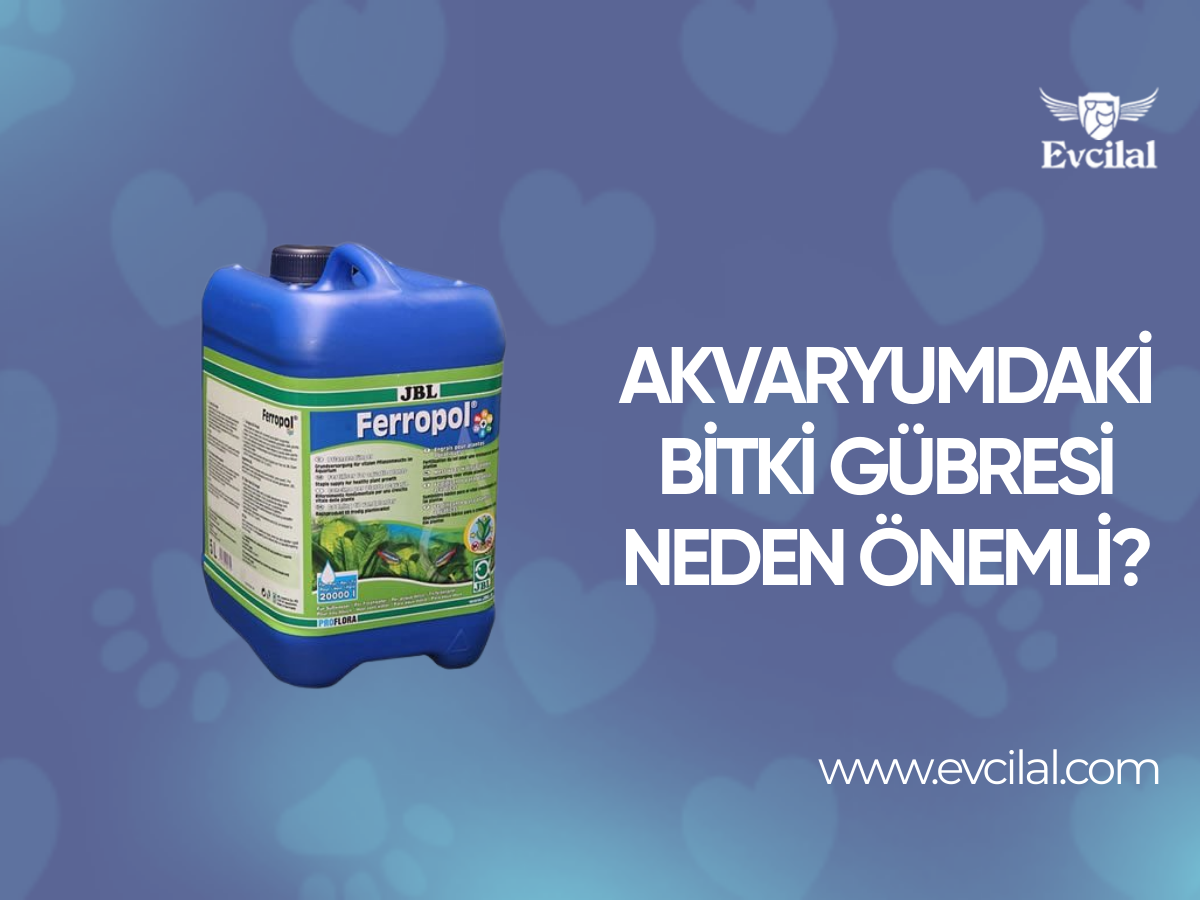 Akvaryumdaki Bitki Gübresi Neden Önemli?