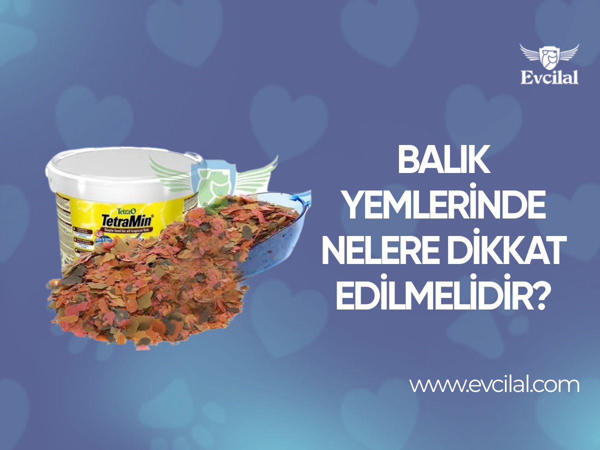 Balık Yemlerinde Nelere Dikkat Edilmelidir?