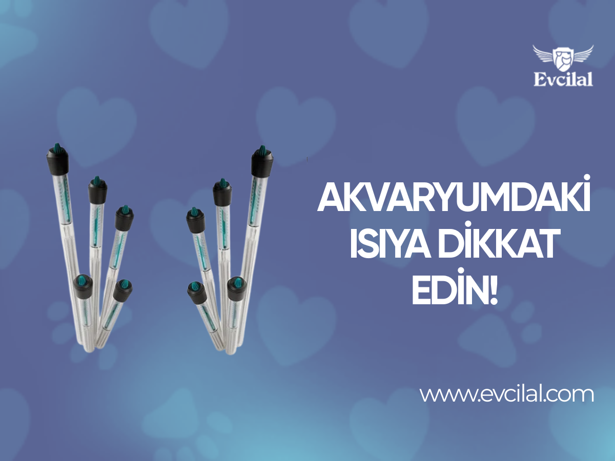 Akvaryumdaki Isıya Dikkat Edin!