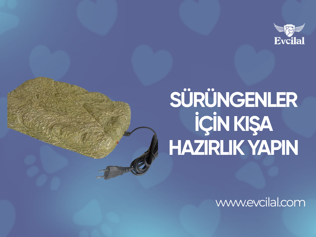 Sürüngenler İçin Kışa Hazırlık Yapın