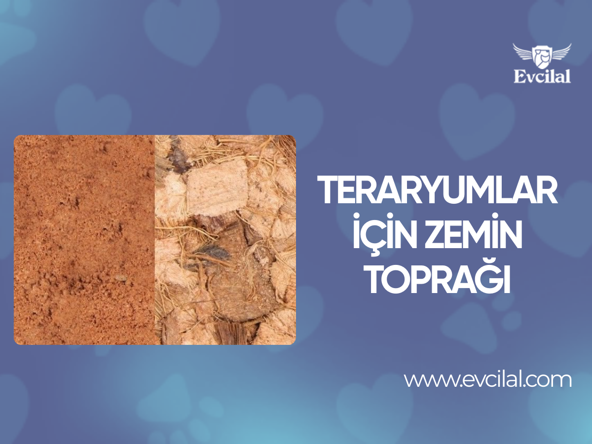 Teraryumlar İçin Zemin Toprağı