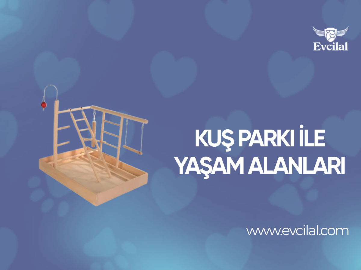 Kuş Parkı İle Yaşam Alanları