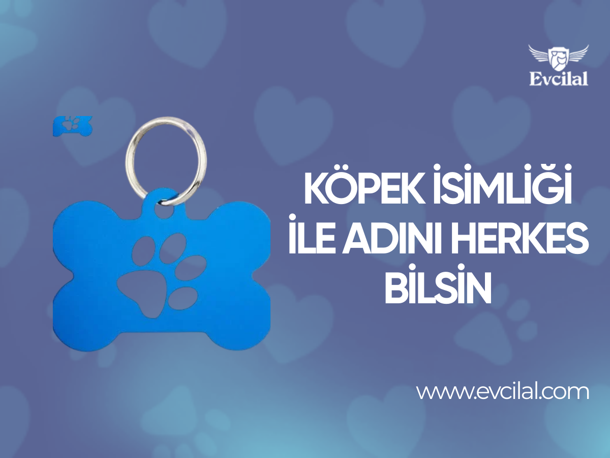 Köpek İsimliği İle Adını Herkes Bilsin