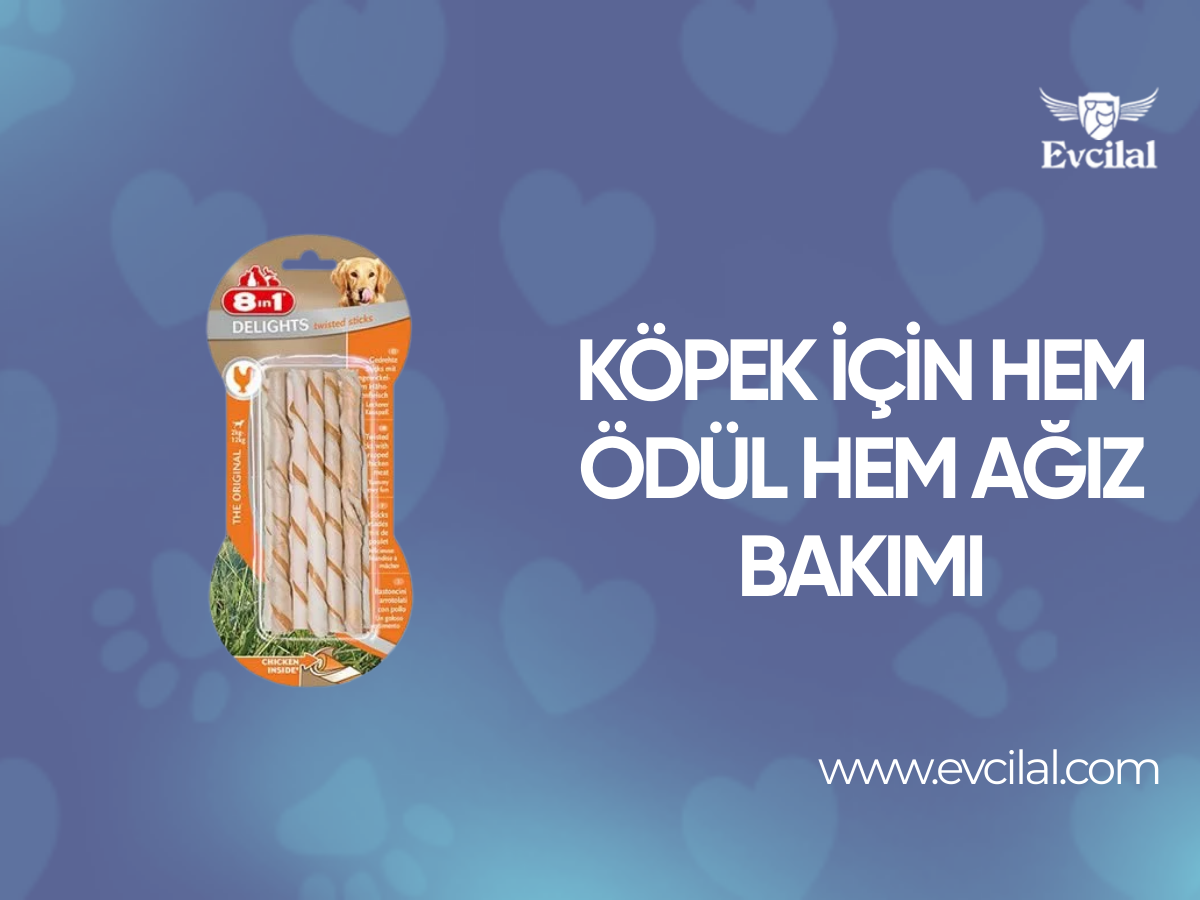 Köpek İçin Hem Ödül Hem Ağız Bakımı