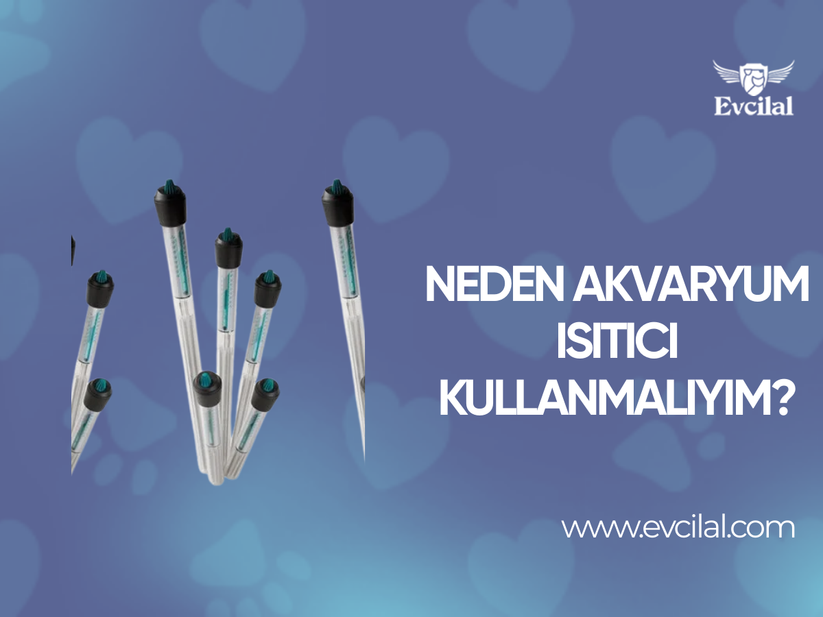 Neden Akvaryum Isıtıcı Kullanmalıyım?