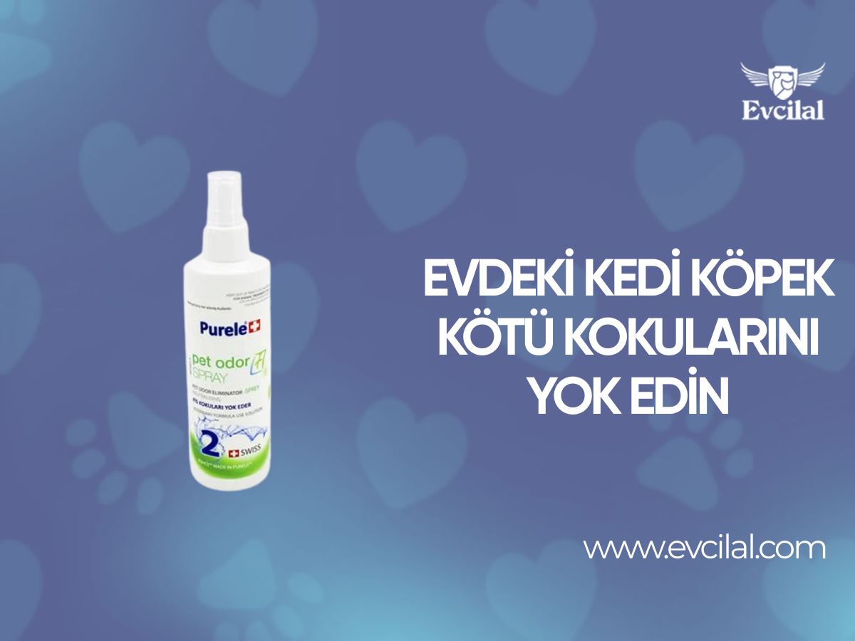 Evdeki Kedi Köpek Kötü Kokularını Yok Edin