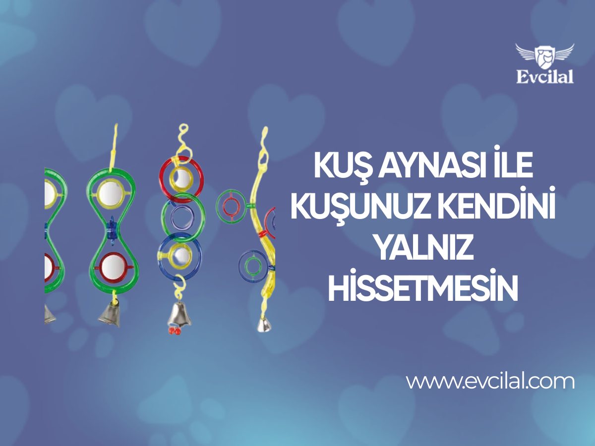 Kuş Aynası İle Kuşunuz Kendini Yalnız Hissetmesin