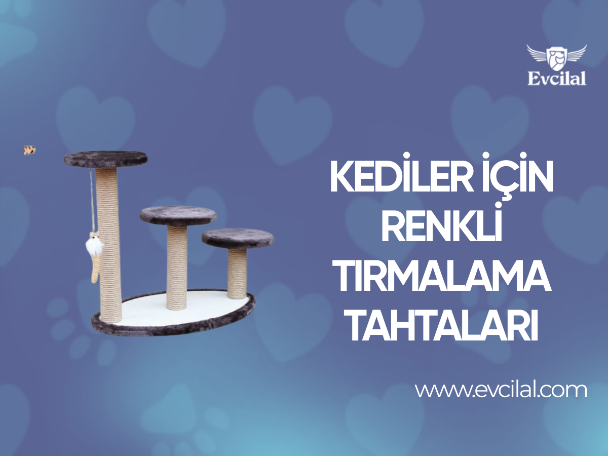 Kediler İçin Renkli Tırmalama Tahtaları