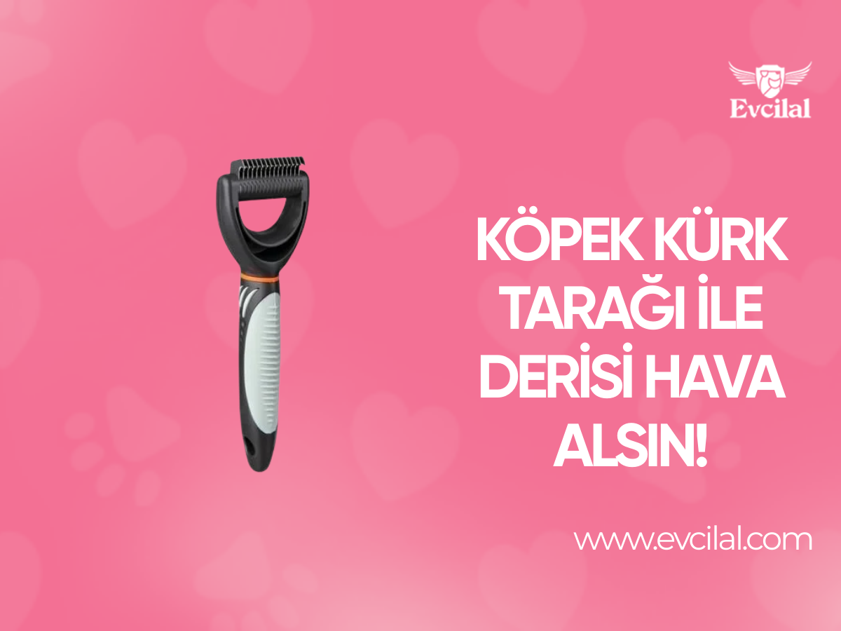 Köpek Kürk Tarağı İle Derisi Hava Alsın!