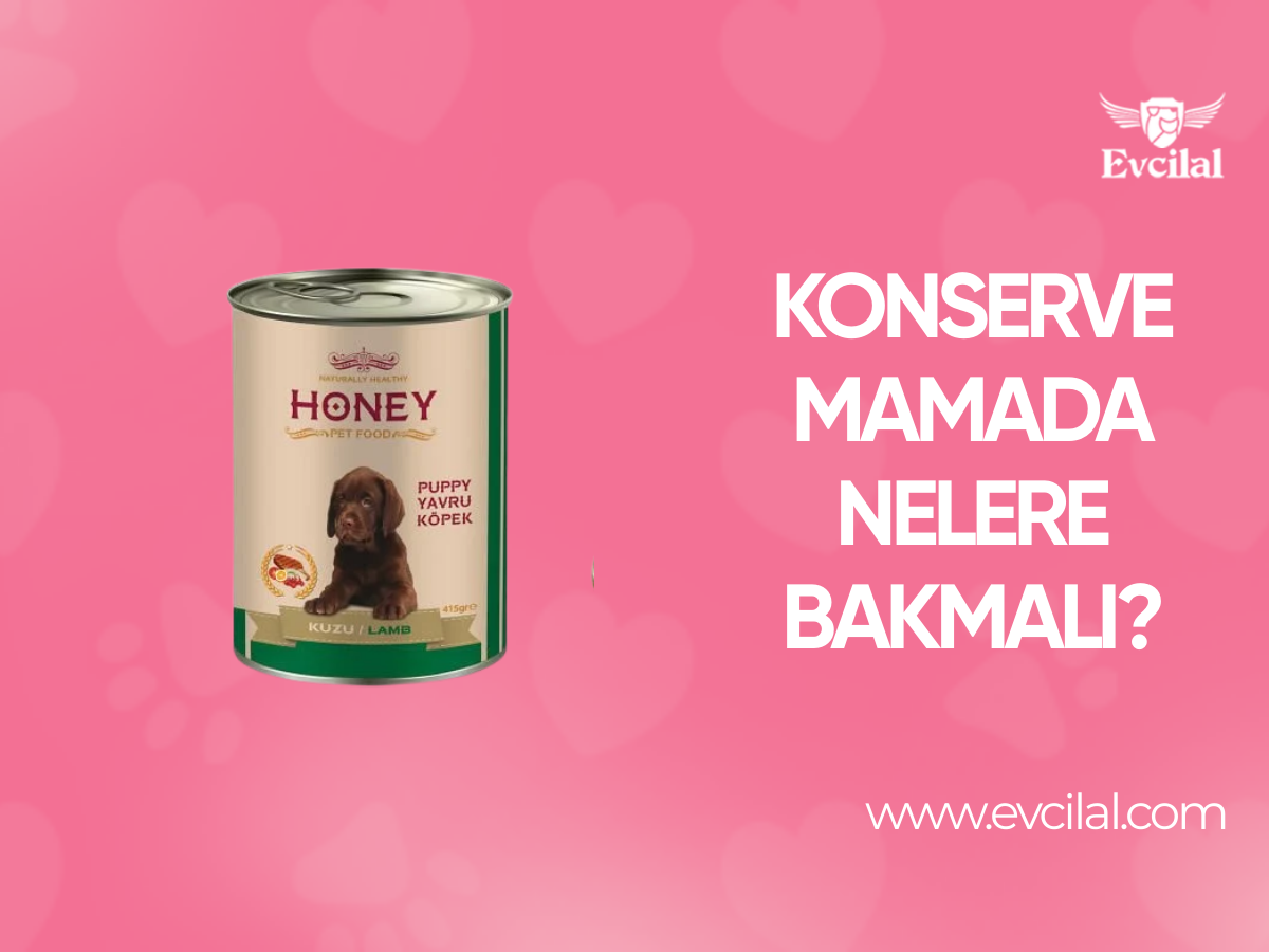 Konserve Mama Ürünlerinde Nelere Dikkat Edilmelidir?