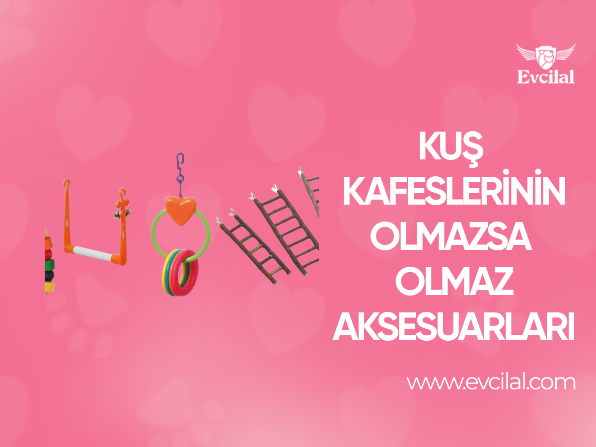 Kuş Kafeslerinin Olmazsa Olmaz Aksesuarları