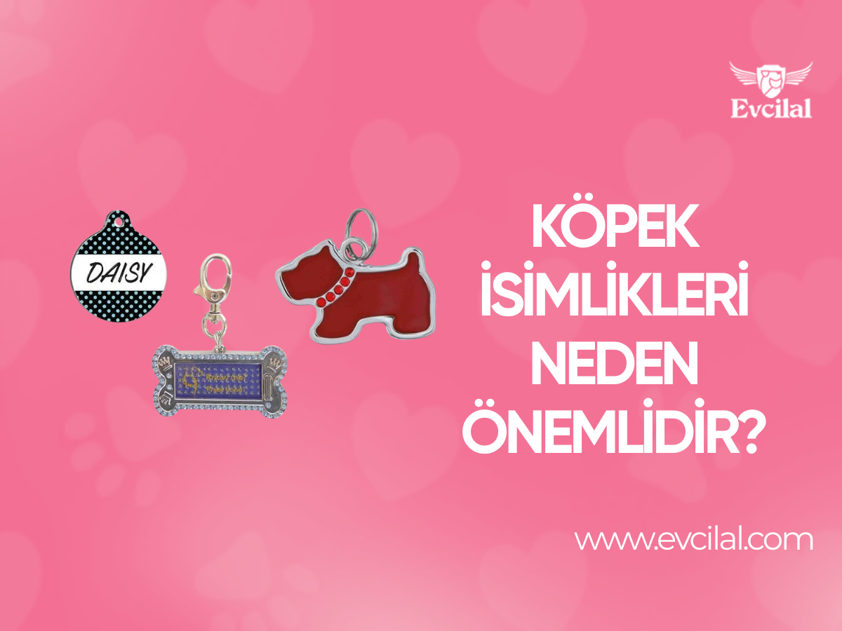 Köpek İsimlikleri Neden Önemlidir?