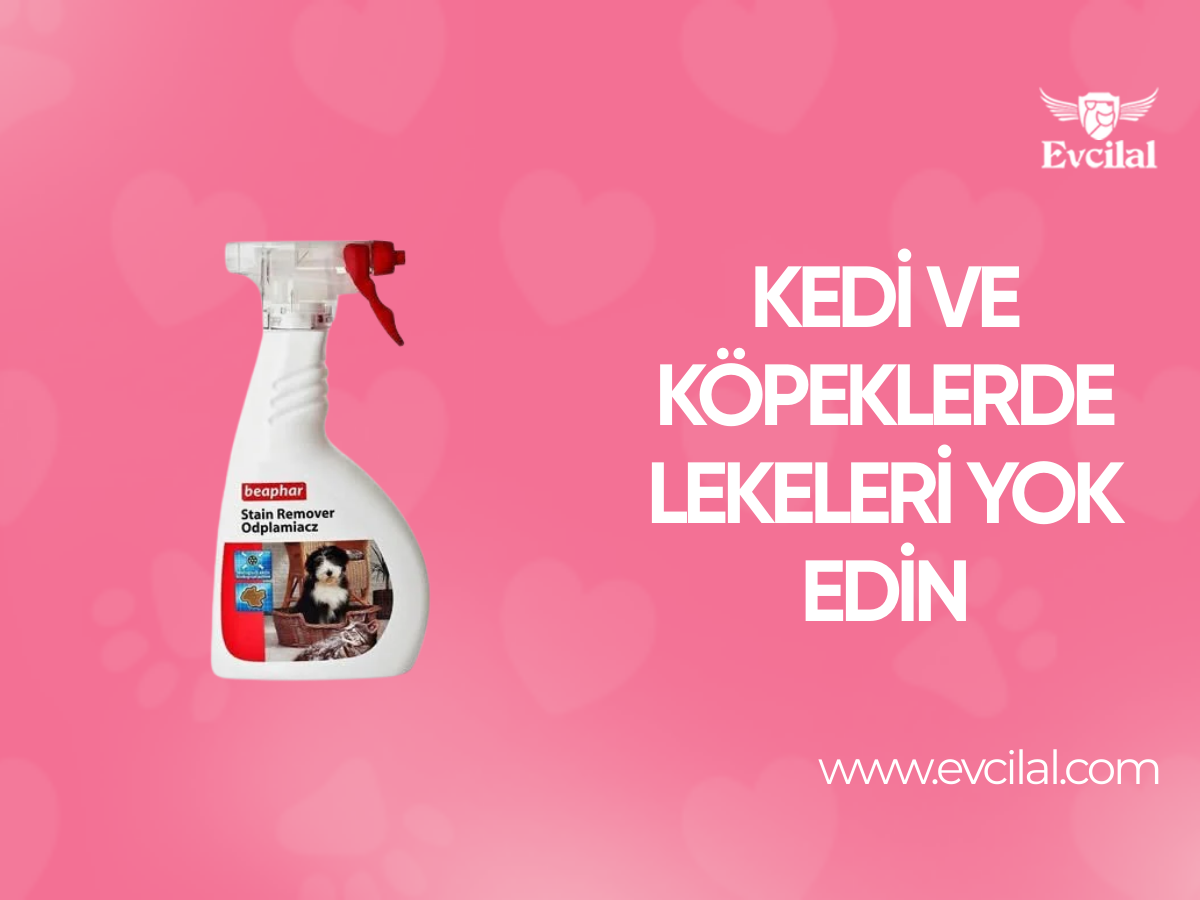 Köpek Ve Kedi Dostlarımızda Lekeleri Ve İşaretleri Yok Edin