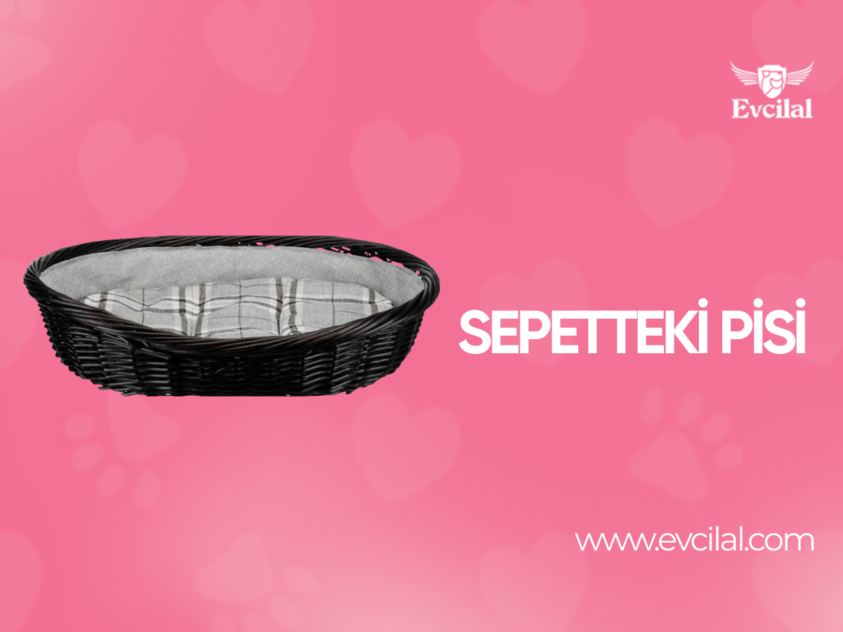 Sepetteki Pisi