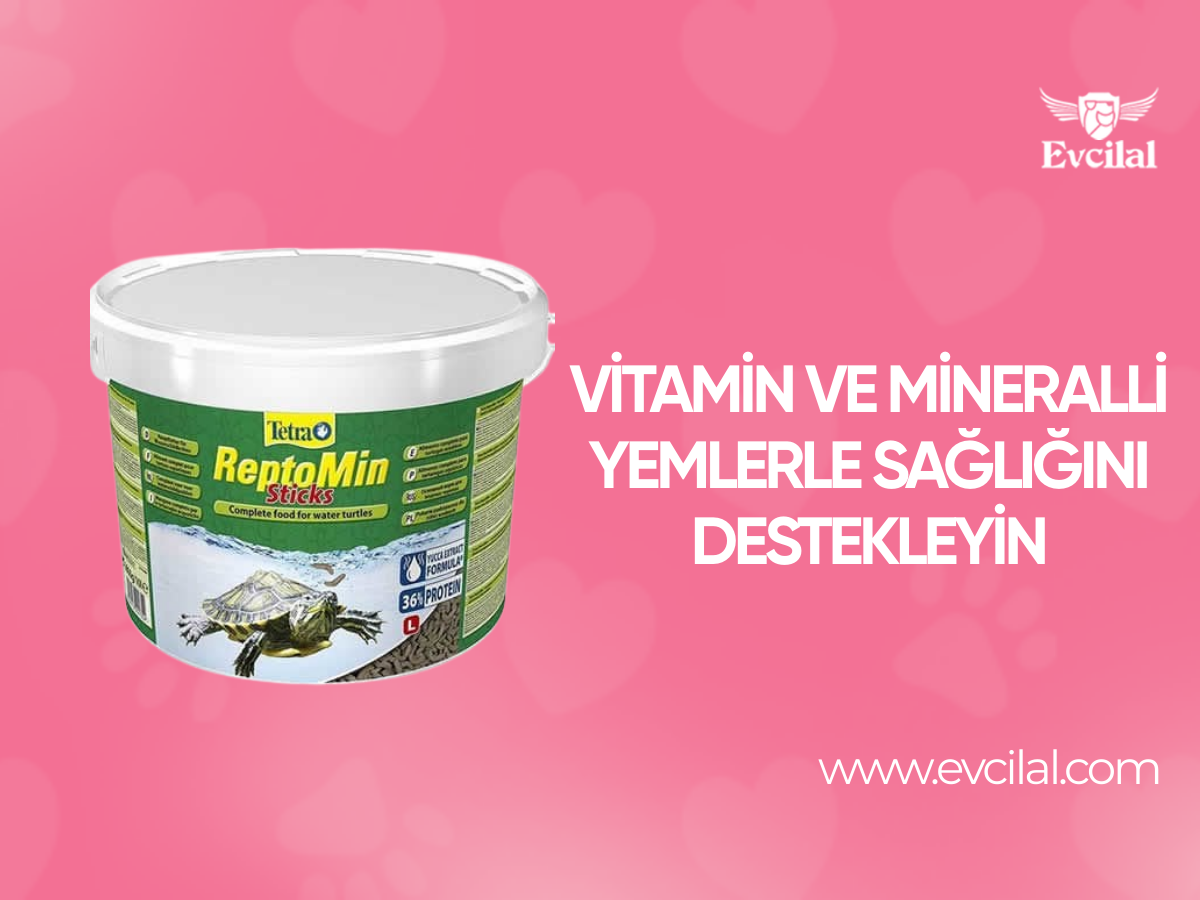 Vitamin C, Vitamin D ve Mineral İçerikli Kaplumbağa Yemleri İle Sağlığını Destekleyin