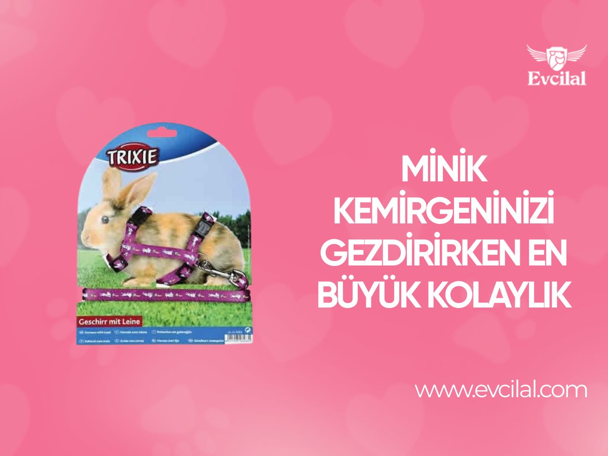 Minik Kemirgeninizi Gezdirirken En Büyük Kolaylık