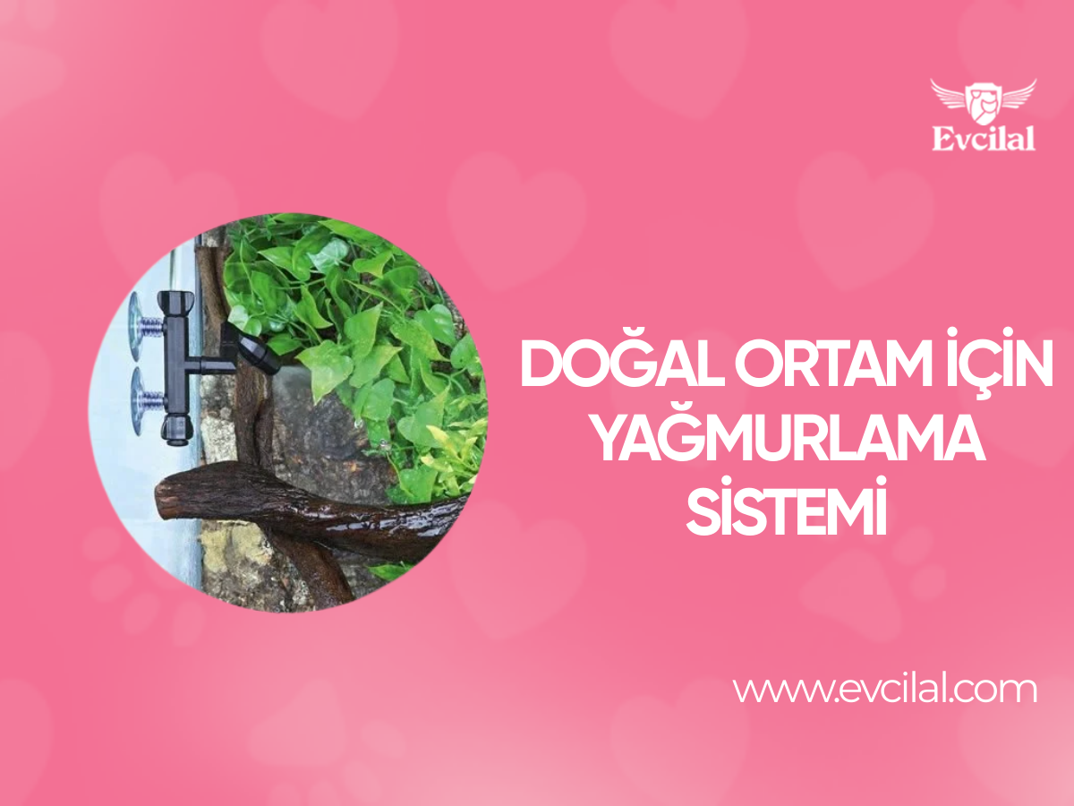 En Doğal Ortam Oluşturmak İçin Yağmurlama Sistemini Unutmayın!