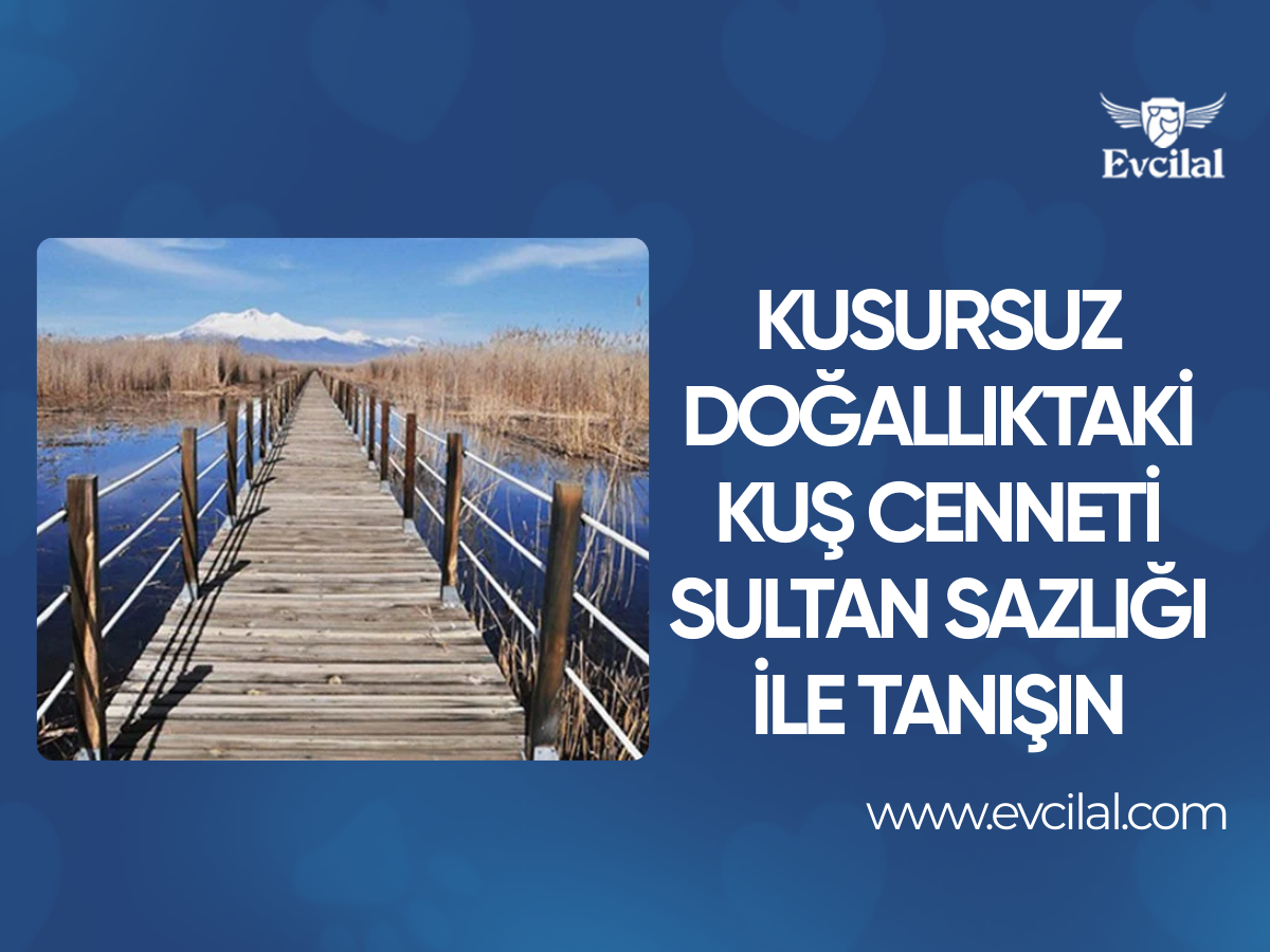 Kusursuz Doğallıktaki Kuş Cenneti Sultan Sazlığı ile Tanışın