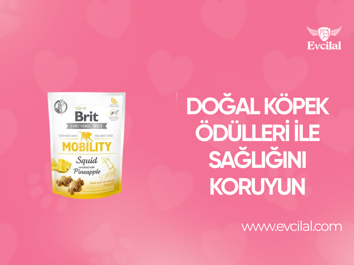 Doğallık Onların Da Hakkı! Doğal Köpek Ödülleri İle Sağlığına Dikkat Edin!