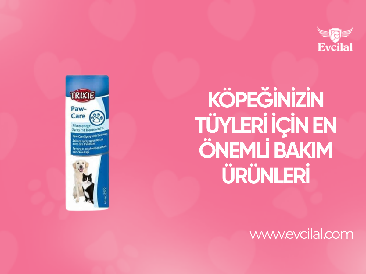 Köpeğinizin Tüyleri İçin En Önemli Bakım Ürünleri