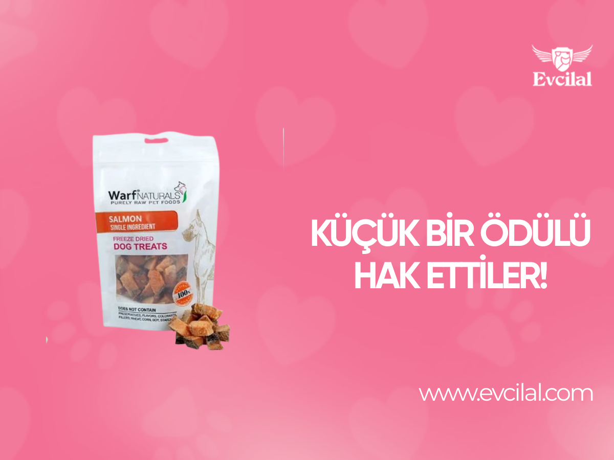 Küçük Bir Ödülü Hak Ettiler!