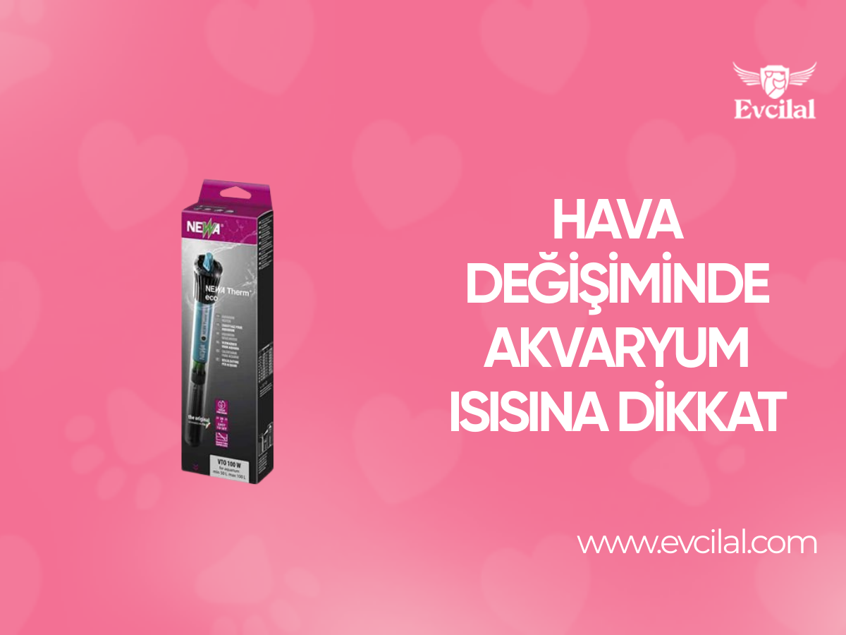 Hava Değişiminde Akvaryum Isısına Dikkat