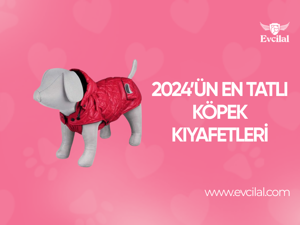 2024’ün En Tatlı Köpek Kıyafetleri