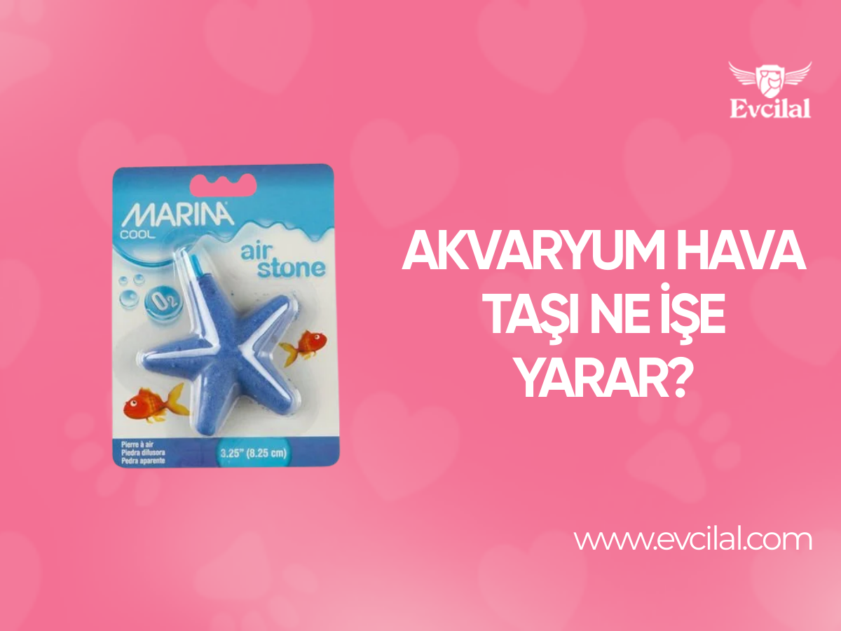 Akvaryum Hava Taşı Ne İşe Yarar?