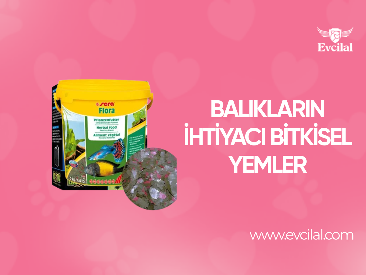 Balıkların İhtiyacı Bitkisel Yemler