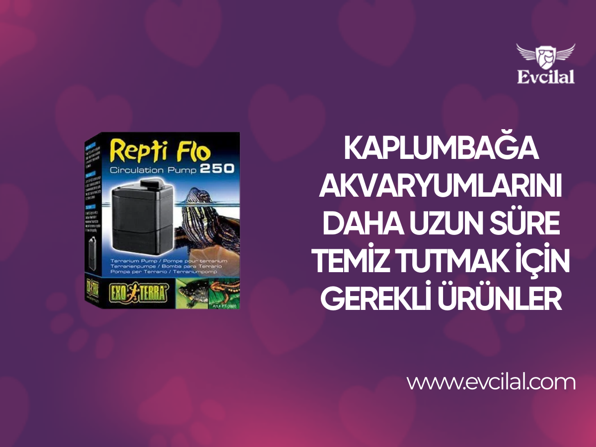 Kaplumbağa Akvaryumlarını Daha Uzun Süre Temiz Tutmanız İçin İhtiyacınız Olanlar