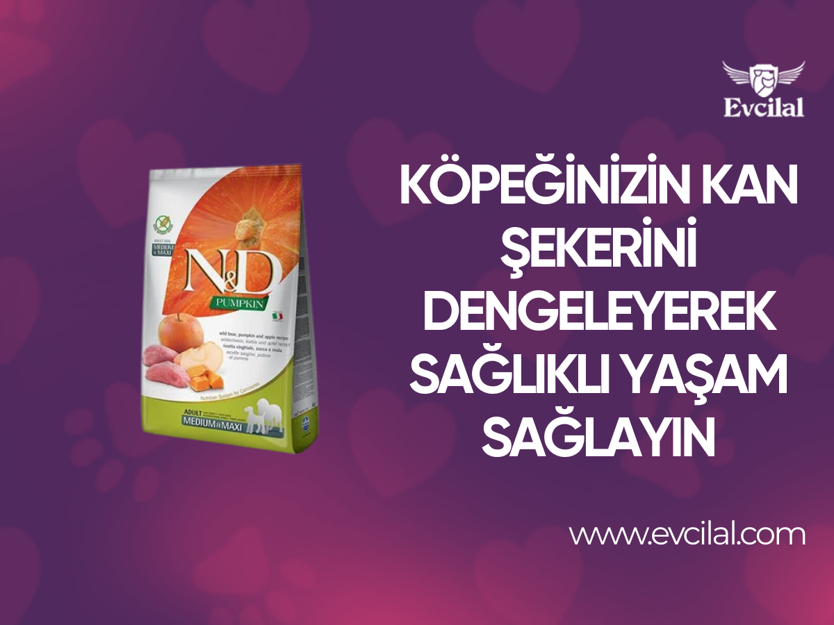 Köpeğinizin Kan Şekerindeki Yüksek Değerleri Dengeleyerek Sağlıklı Bir Yaşam Sağlayın!
