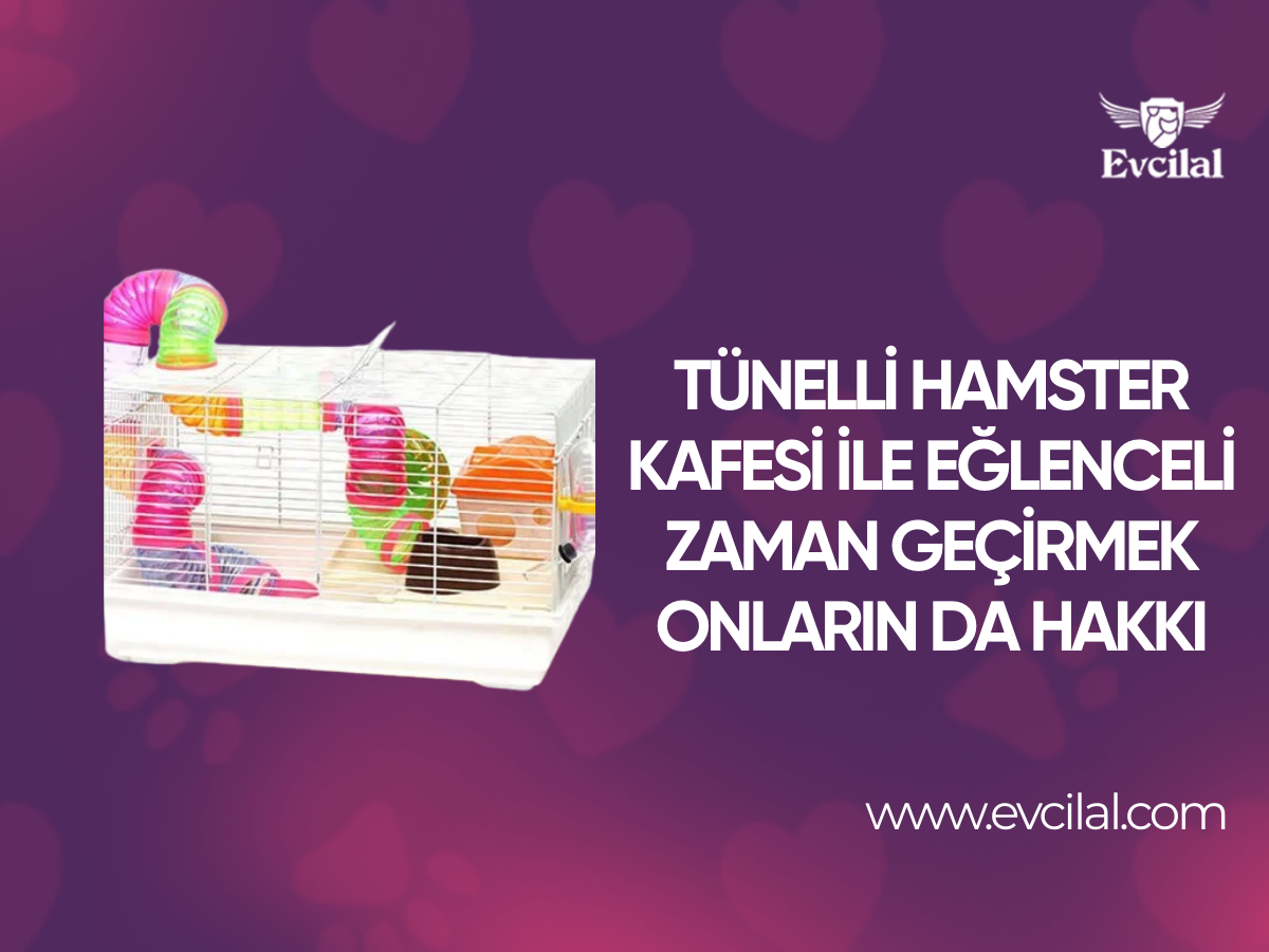 Tamamı Tünellerden Oluşan Hamster Kafesiyle Eğlenceli Vakit Geçirmek Onlarında Hakkı