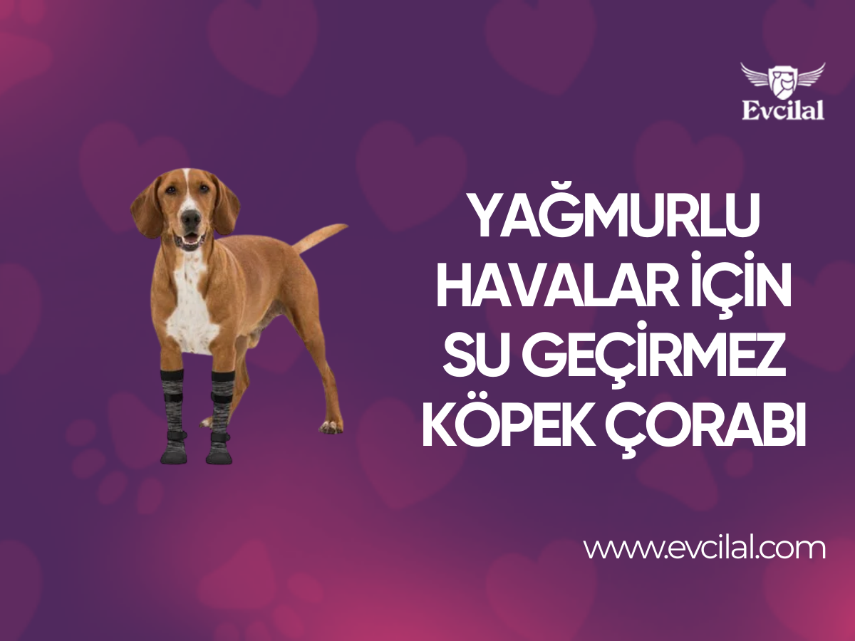 Yağmurlu Havalar İçin Su Geçirmez Köpek Çorabı Tamda Aradığınız Şey!