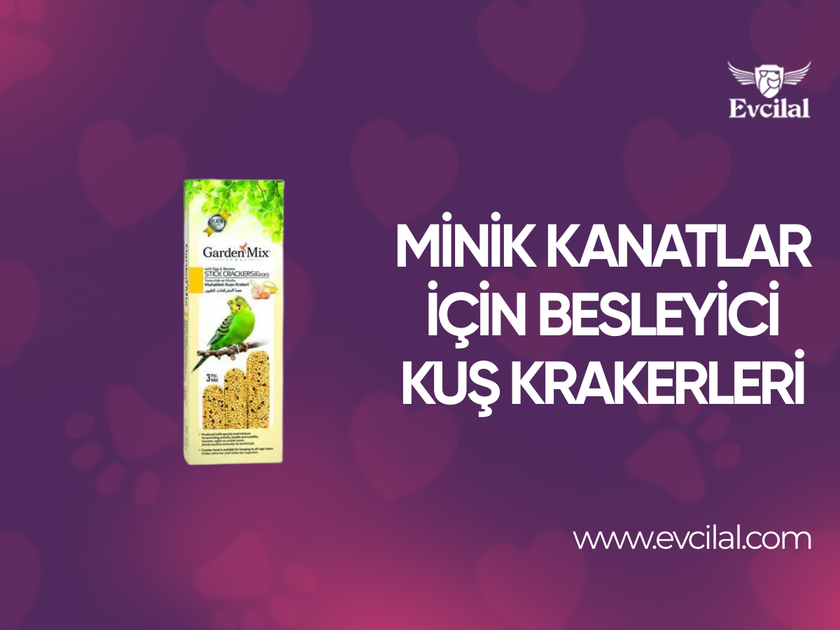 Minik Kanatlar İçin Besleyici Kuş Krakerleri