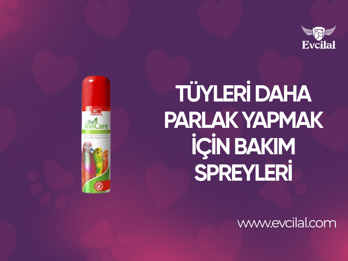 Tüyleri Hiç Olmadığı Kadar Parlak Yapmak İçin Bakım Spreyleri