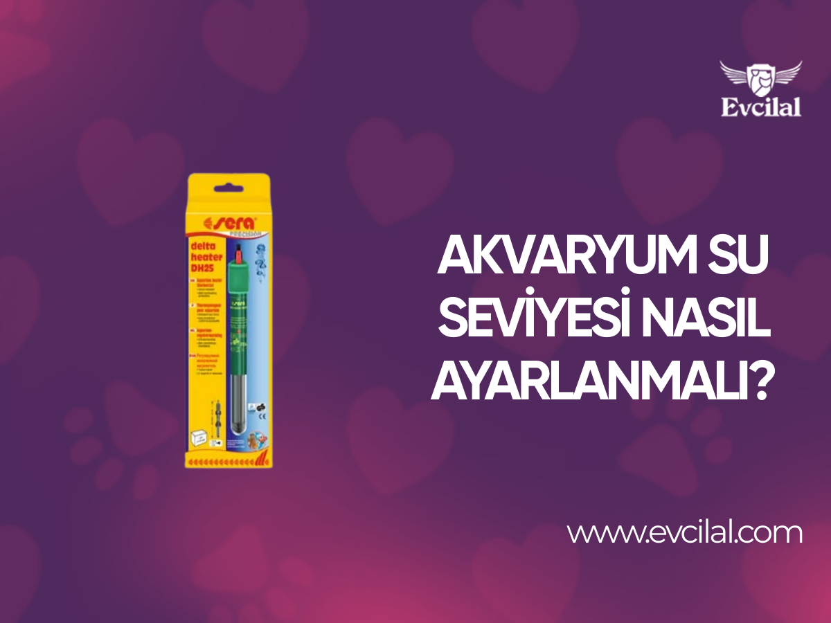 Akvaryum su seviyesi nasıl ayarlanmalı?